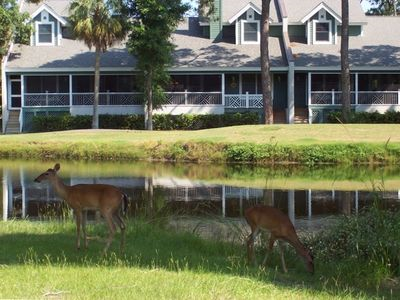 Fripp Island's Official Welcome Committee - A Part Of Everyday Life On Fripp