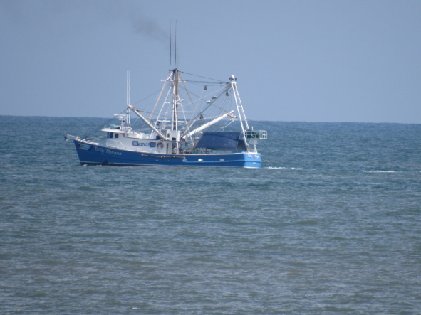 Watch shrimp boats as they pass by.