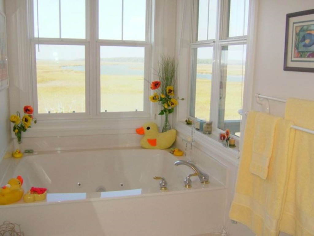 Jacuzzi tub (plus full shower) inviting water views from the master suite bath