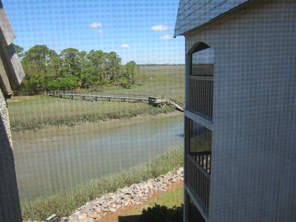View of Tidal Creek and Marsh from Porch