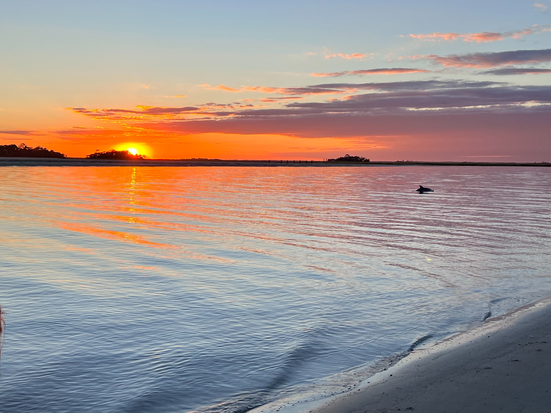 Dolphin and sunsets are beautiful at Fripp!